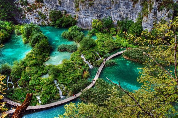 park,trip,travel,blue,parque,trees