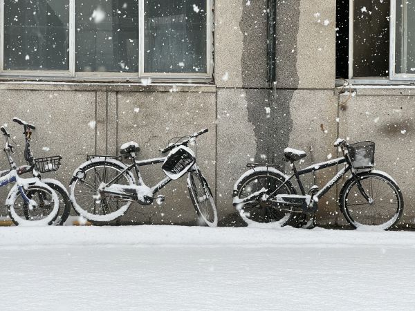 Rad,Reifen,Landfahrzeug,Fahrrad,Fahrradrahmen,Crankset