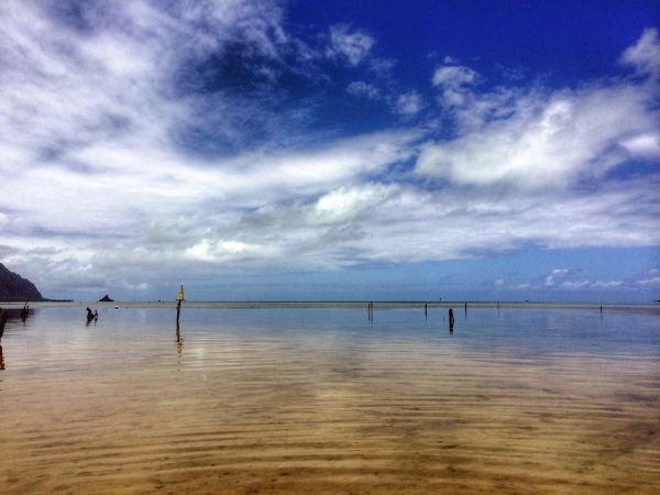 oceaan,hemel,wolk,strand,water,wolken