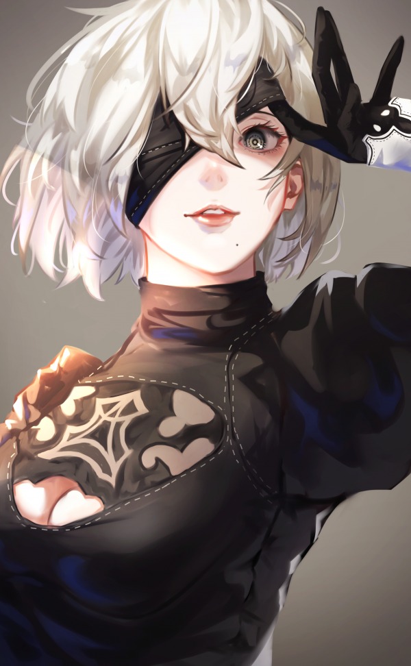 simple background,anime girls,Nier Automata,portrait display