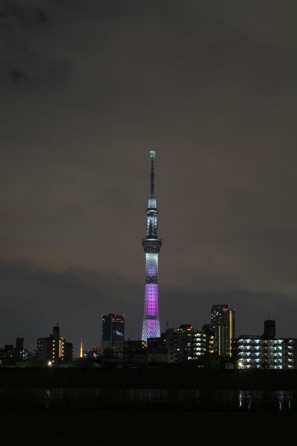 Japon,ville,Paysage urbain,nuit,réflexion,Horizon