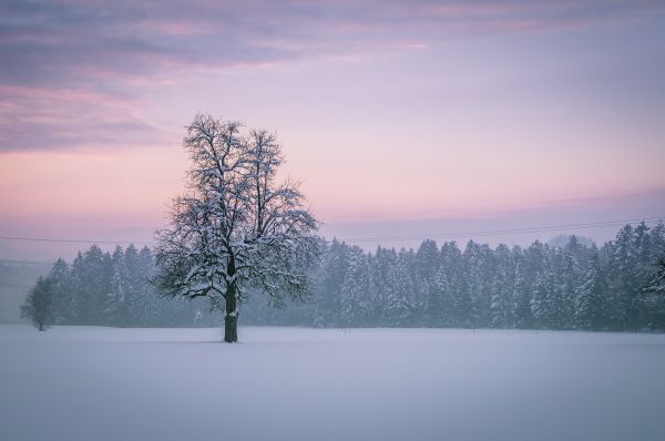 zonlicht, landschap, zonsondergang, meer, natuur, reflectie