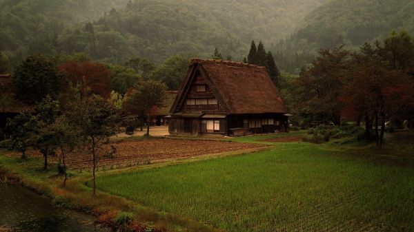 Japonsko,Farm House,tráva,hory