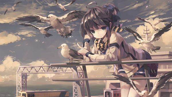 Wirbeltier,Karikatur,Vogel,Himmel,KUNST,cg artwork