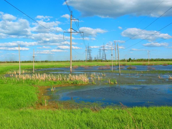 Hochspannung,Sumpf,Elektrizität,Sommer-,Ödland,Prärie