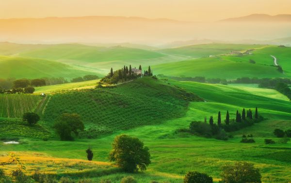 Italie,Toscane,champ,ferme,herbe