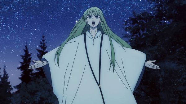 soarta Series,Fate strange Fake,Ghilgameș,Enkidu FGO