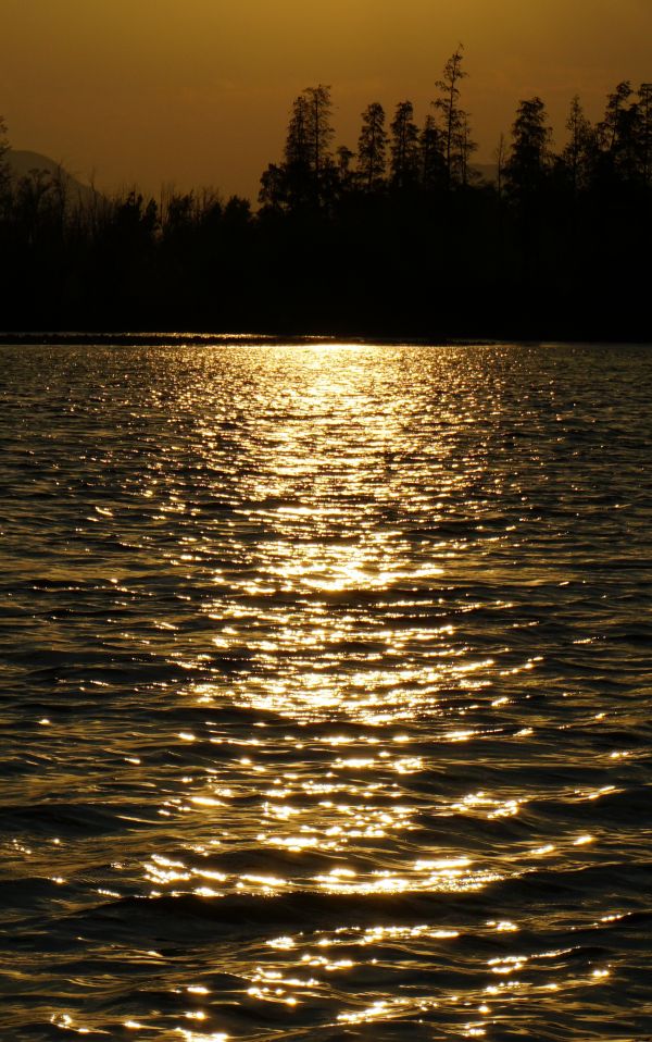 Lac,eau,evening sun,crépuscule,jaune,silhouette