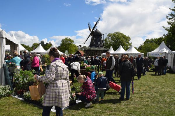 zahrada,nebe,Švédsko,květ,festival,Malmo