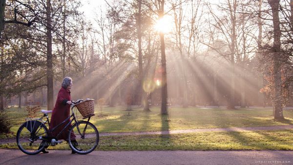 zonlicht,bomen,landschap,gras,Bos,fiets