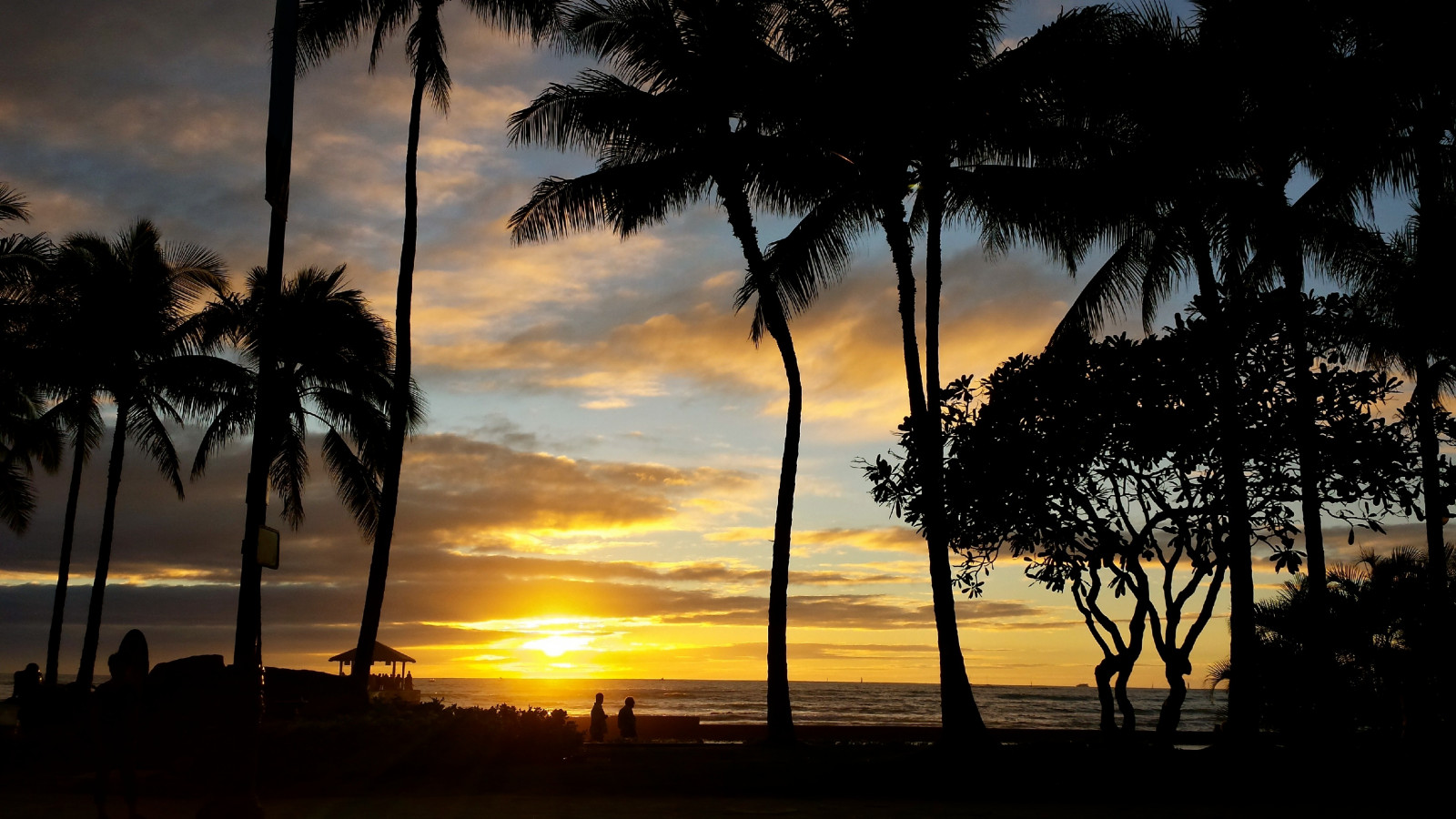 utazás, kék, napnyugta, vakáció, ég, emberek, Idegenforgalom, strand, víz, sziluett, sárga, felhők, tájkép, Hawaii, homok, szép, színek, waikiki, oahu, természetes fény, pálmafák, Csendes-óceán, strandok, honolulu, waikikibeach