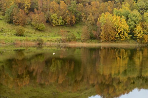 krajobraz, jezioro, odbicie, Norwegia, Natura, rzeka