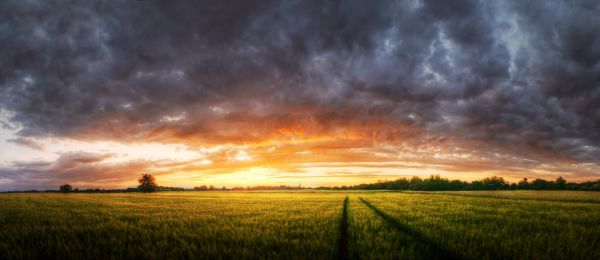 luz solar,Árvores,panorama,colorida,Pôr do sol,natureza