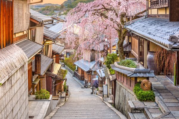 風景,桜の花,家