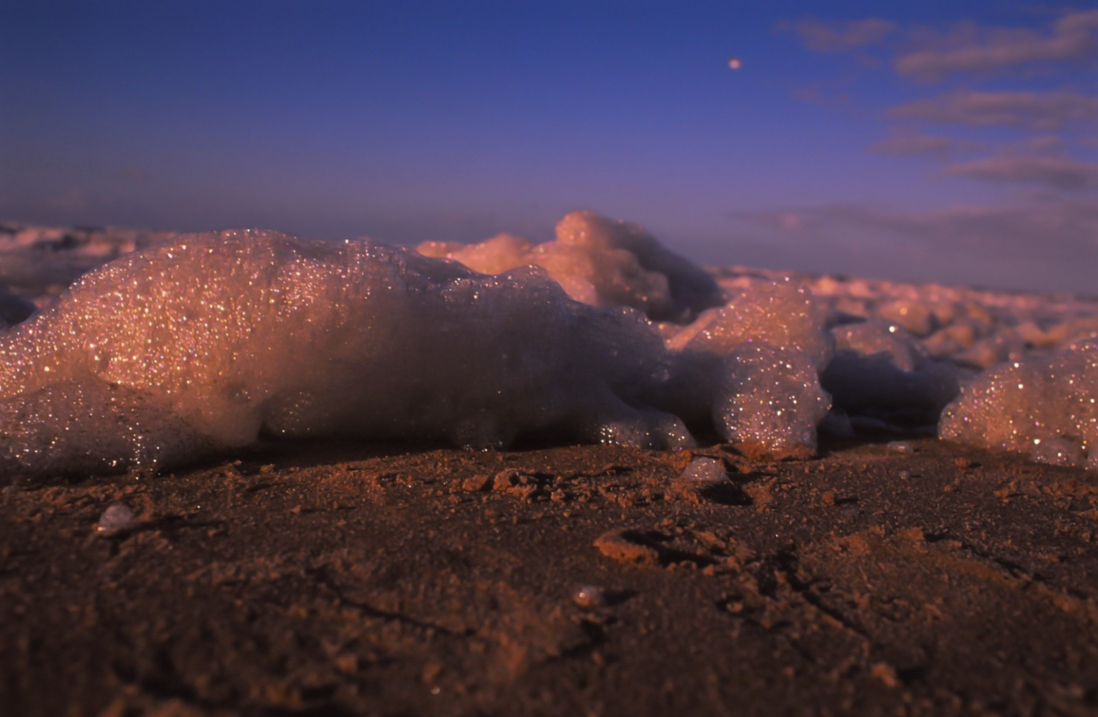 Hollande, film, plage, analogique, 35MM, paysage, Nikon, Dof, Bokeh, Velvia, mousse, Fujifilm, F5, Noordwijk, 2014