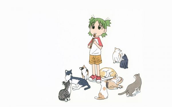 илюстрация,котка,карикатура,чертеж,Yotsuba Koiwai,Yotsubato