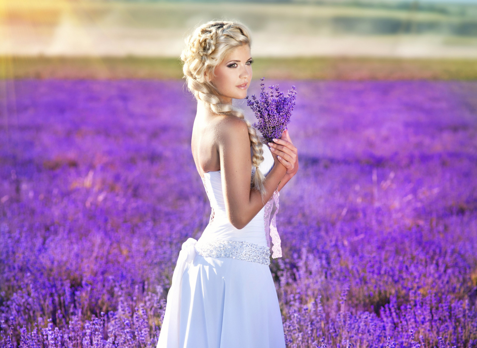 luce del sole, donne all'aperto, donne, modello, bionda, profondità di campo, fiori, guardare lontano, capelli lunghi, natura, spalle nude, vestito bianco, campo, fotografia, viola, blu, trecce, lavanda, vestito da sposa, primavera, Persona, fiori viola, fiore, pianta, bellezza, fotografia, prato, fotografia di ritratto, servizio fotografico, impianto di terra, pianta fiorita, inglese lavanda