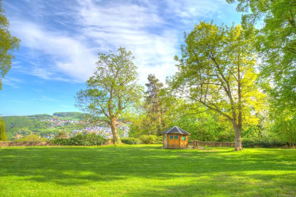 lumina soarelui, peisaj, pădure, apus de soare, deal, lac