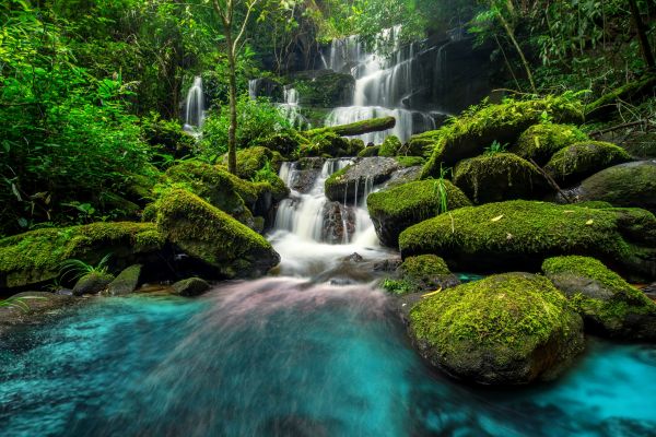 agua,planta,los recursos hídricos,verde,Ecorregión,fluvial landforms of streams