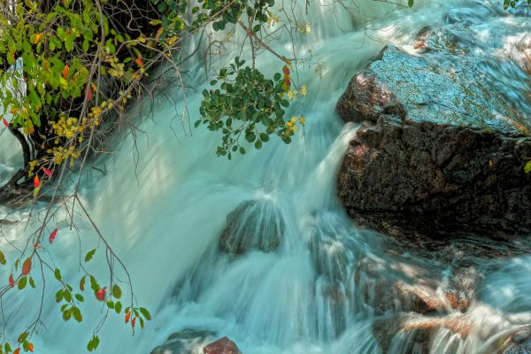 Bos,waterval,water,natuur,bladeren,rots