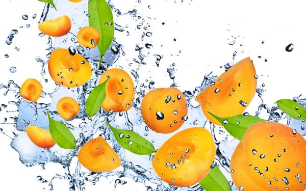 food,water,fruit,orange,illustration,cartoon