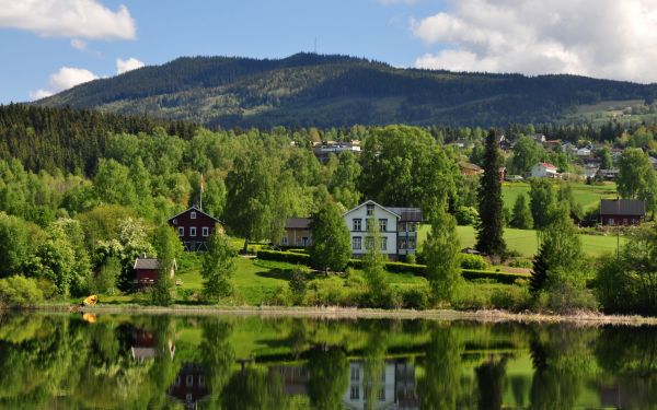 trær,landskap,fjellene,innsjø,vann,natur