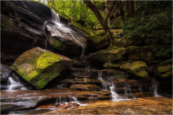 pemandangan, hutan, air terjun, air, pohon, batu