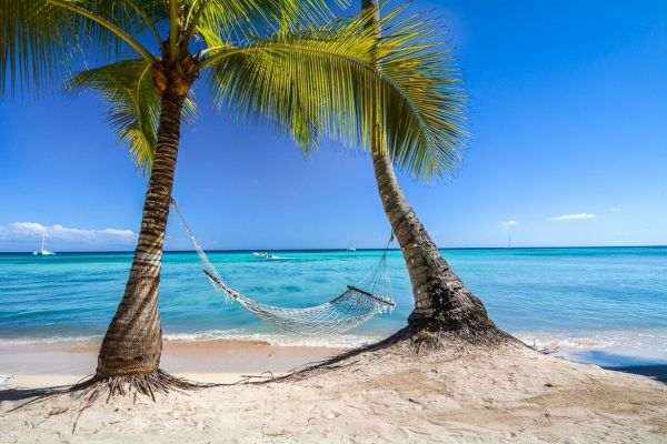 1230x820 px,strand,Caribbean,Dominicaanse Republiek,hangmatten,eiland