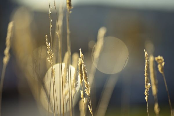 światło słoneczne,woda,odbicie,fotografia,Norwegia,ranek