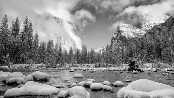 naturaleza,paisaje,Árboles,río,montañas,nieve