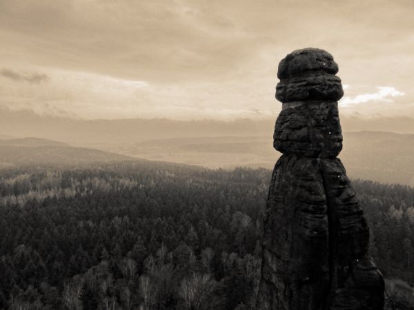 greutate corporală,alb-negru,munţi,copac,blancoynegro,monocrom