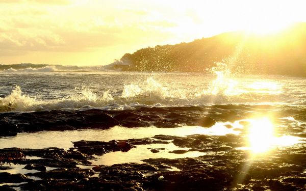 sea,splashes,coast,waves,stony,Sun