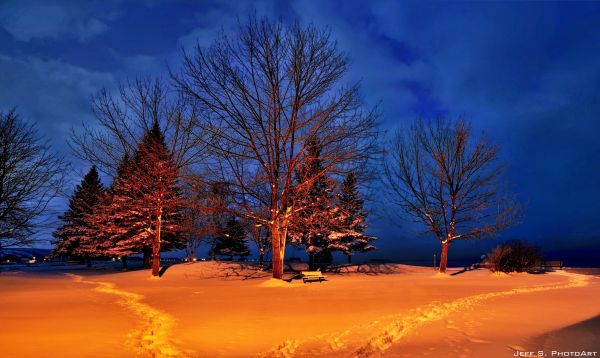 sunlight, trees, landscape, night, sunset, hill