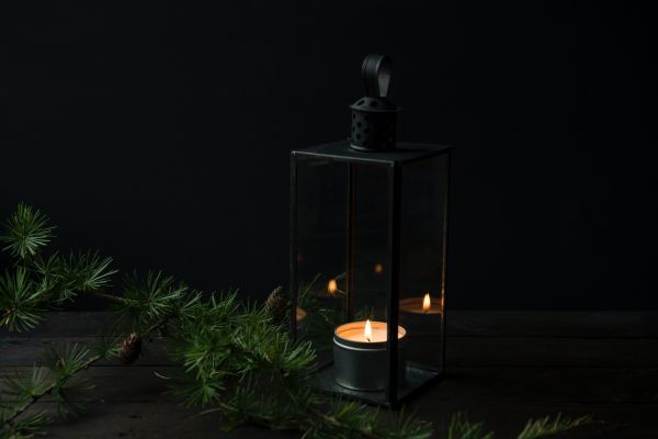 linterna,Navidad,Velas,agujas de pino,oscuro