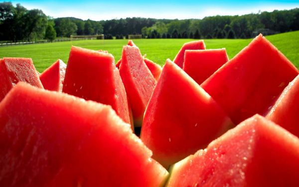 frukt,melon,vannmelon,produsere,natur,saftig