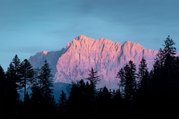 cielo,montaña,planta,árbol,Natural landscape,alerce