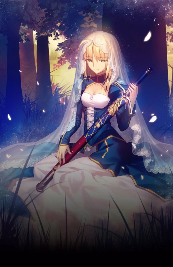 Sciabola,Fate Stay Night