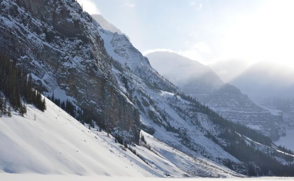 Canada,winter,Alberta,lake,mist,nature