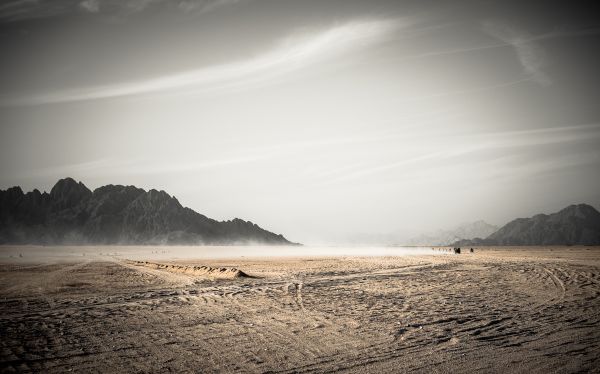 日光, 日没, 風景, モノクロ, 海, 湾