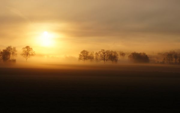 światło słoneczne,zachód słońca,Natura,pole,wschód słońca,wieczór