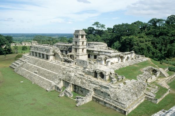 templo,velho,construção,ruína,selva,ruínas