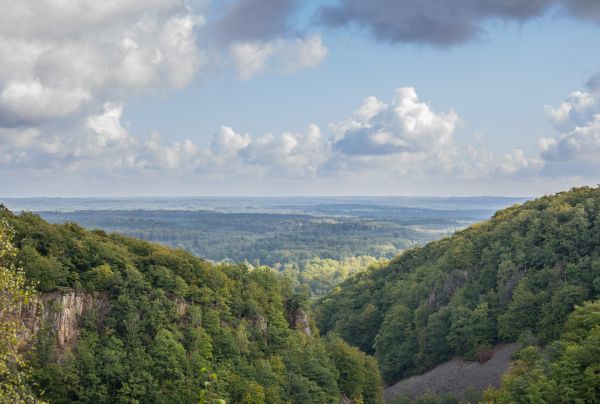 bosque, paisaje, colina, naturaleza, cresta, nube