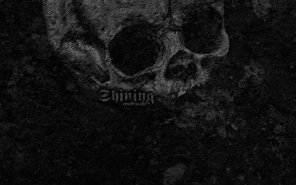 1920x1200 px,black,shining,cold,metal,skulls