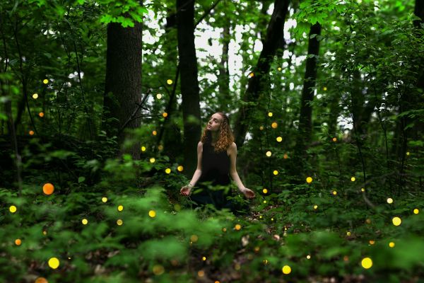 skog,sollys,trær,lys,rødhåret,modell