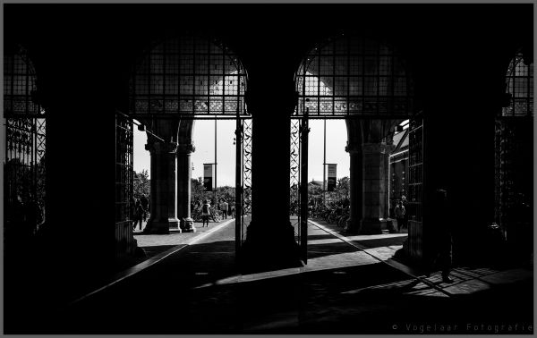 black,monochrome,city,architecture,building,window