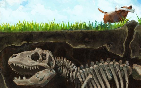 artwork, dog, bones, dinosaurs, split view, dinosaur