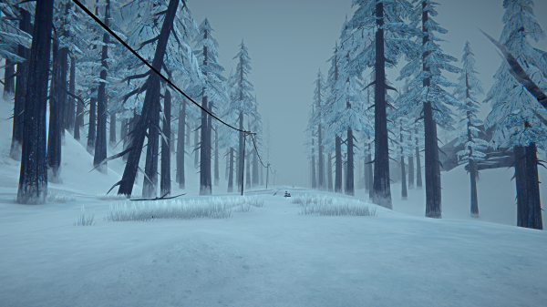 The Long Dark,näyttökuva,lumi,eloonjääminen,Videopelit,Video Game Landscape