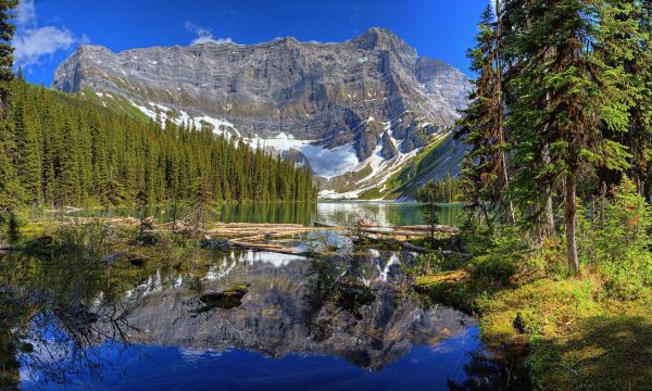 paysage, forêt, Lac, la nature, réflexion, parc