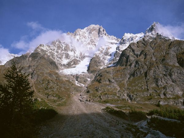 Árvores, panorama, montanhas, lago, natureza, grama