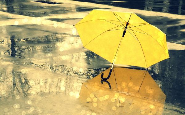 chuva,Bokeh,Guarda-chuva,amarelo,molhado,rua